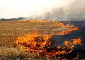 秸稈焚燒監(jiān)測(cè)識(shí)別